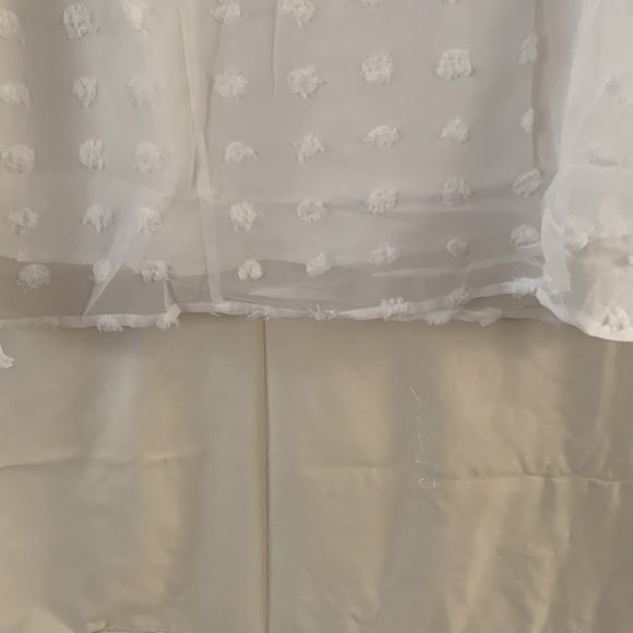 White Swiss dot long sheer sleeve top with V neckline. New in bag - Picture 6 of 9